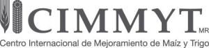 CIMMYT